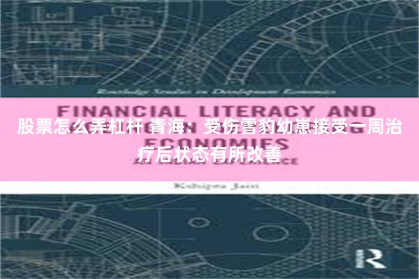 股票怎么弄杠杆 青海：受伤雪豹幼崽接受一周治疗后状态有所改善