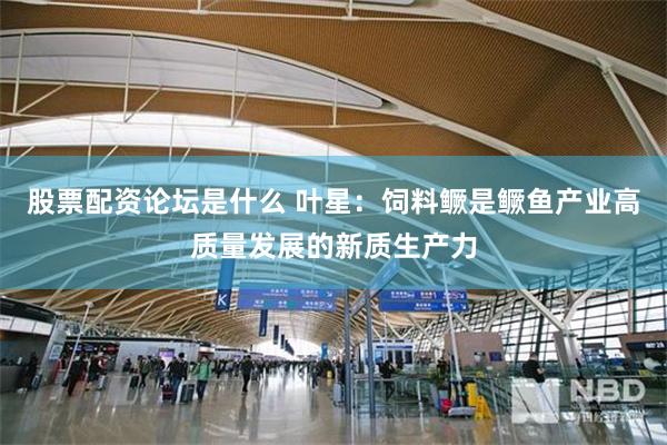 股票配资论坛是什么 叶星：饲料鳜是鳜鱼产业高质量发展的新质生产力