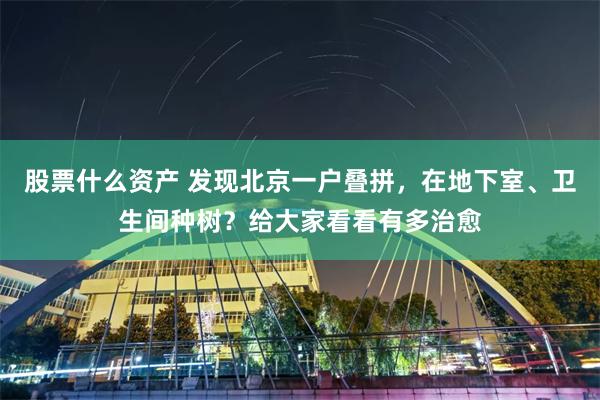 股票什么资产 发现北京一户叠拼，在地下室、卫生间种树？给大家看看有多治愈