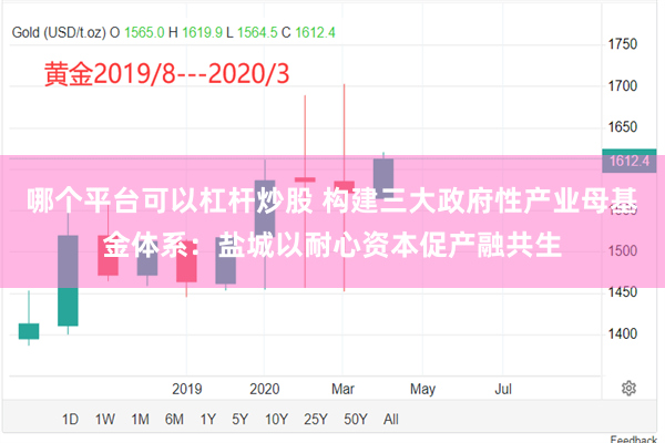 哪个平台可以杠杆炒股 构建三大政府性产业母基金体系：盐城以耐心资本促产融共生