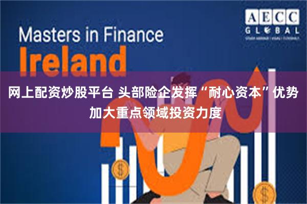 网上配资炒股平台 头部险企发挥“耐心资本”优势 加大重点领域投资力度