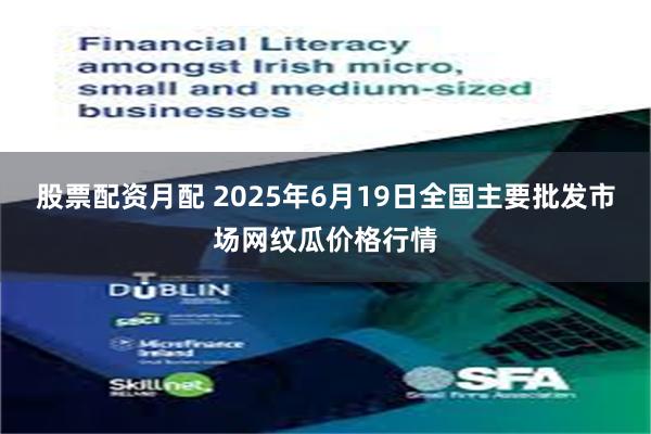 股票配资月配 2025年6月19日全国主要批发市场网纹瓜价格行情