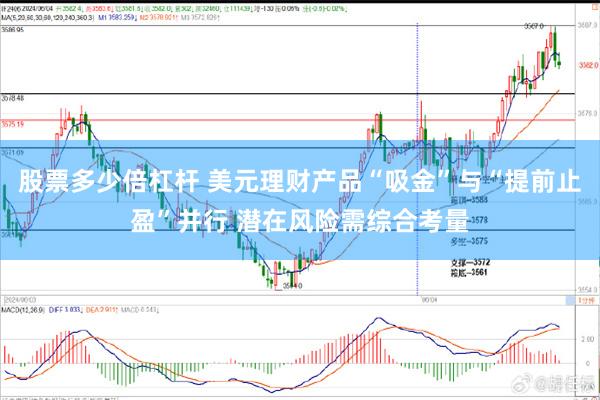 股票多少倍杠杆 美元理财产品“吸金”与“提前止盈”并行 潜在风险需综合考量