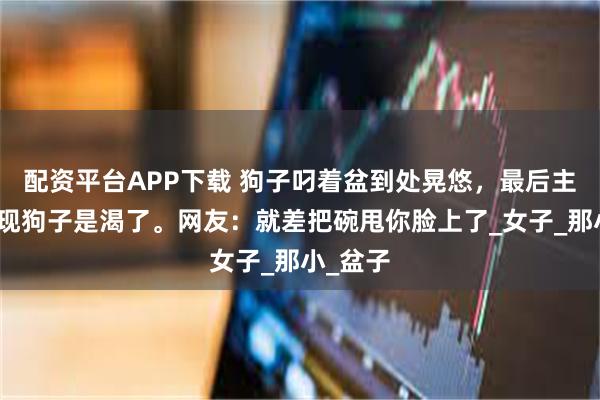 配资平台APP下载 狗子叼着盆到处晃悠，最后主人才发现狗子是渴了。网友：就差把碗甩你脸上了_女子_那小_盆子