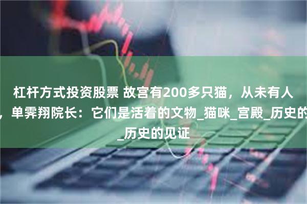杠杆方式投资股票 故宫有200多只猫，从未有人驱赶，单霁翔院长：它们是活着的文物_猫咪_宫殿_历史的见证