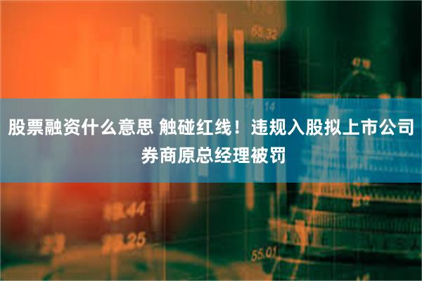 股票融资什么意思 触碰红线！违规入股拟上市公司 券商原总经理被罚