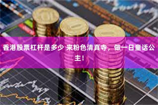 香港股票杠杆是多少 来粉色清真寺，做一日童话公主！