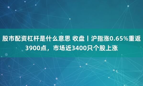 股市配资杠杆是什么意思 收盘丨沪指涨0.65%重返3900点,市场近3400只个股上涨