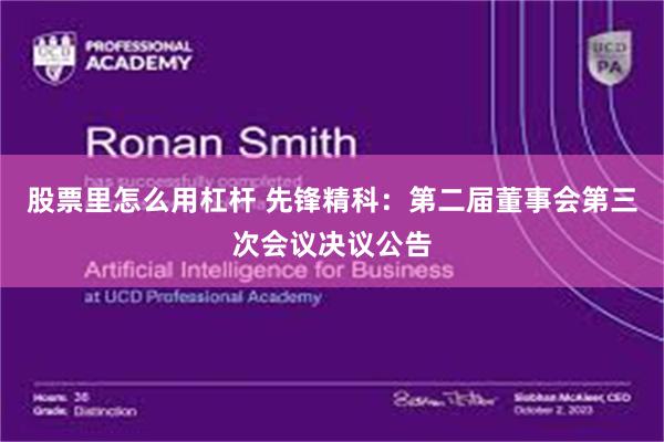 股票里怎么用杠杆 先锋精科：第二届董事会第三次会议决议公告